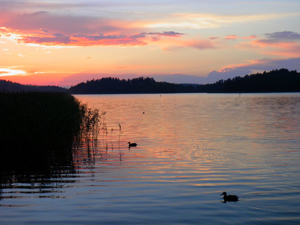 Wigry (jezioro) – Wikipedia, wolna encyklopedia