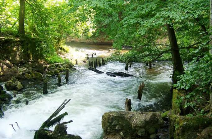 Drawieński Park Narodowy – ścieżka dydaktyczna „Jezioro Ostrowieckie”